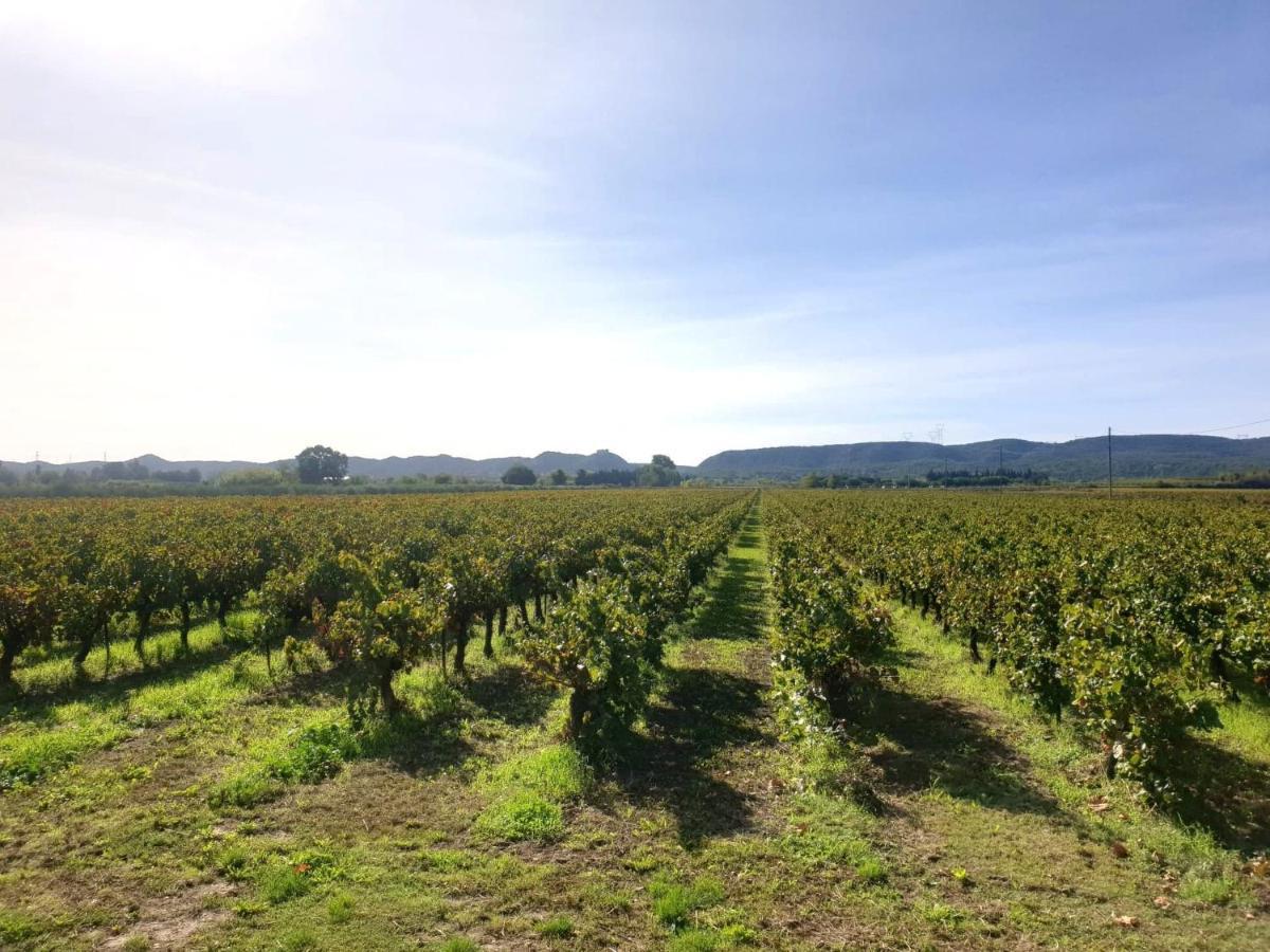 Domaine de Sévanes Saint-Paul-les-Fonts Exterior foto